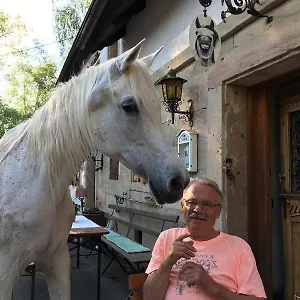 https://landhotel-schwarzhof.com-bavaria.com